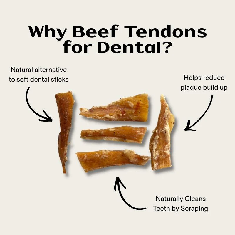Air Dried Beef Tendons (Paddywacks) - Image 3