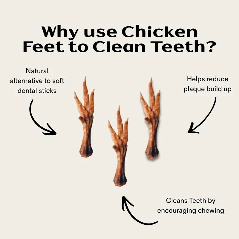 Air Dried Chicken Feet - Image 3