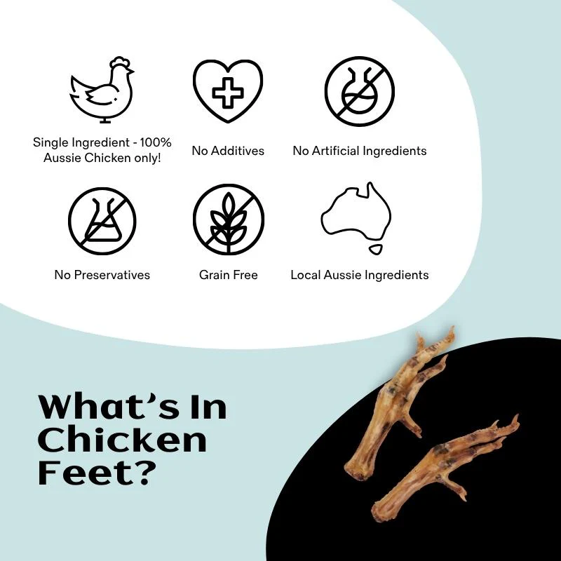 Air Dried Chicken Feet - Image 4