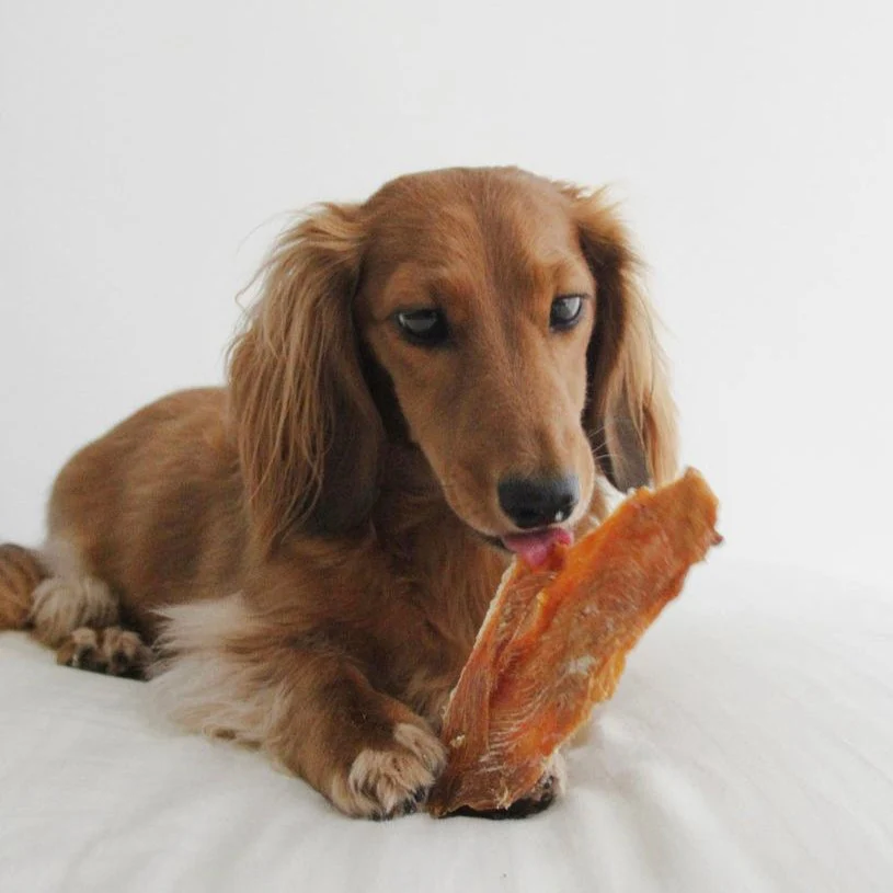 Chicken Jerky - Image 5