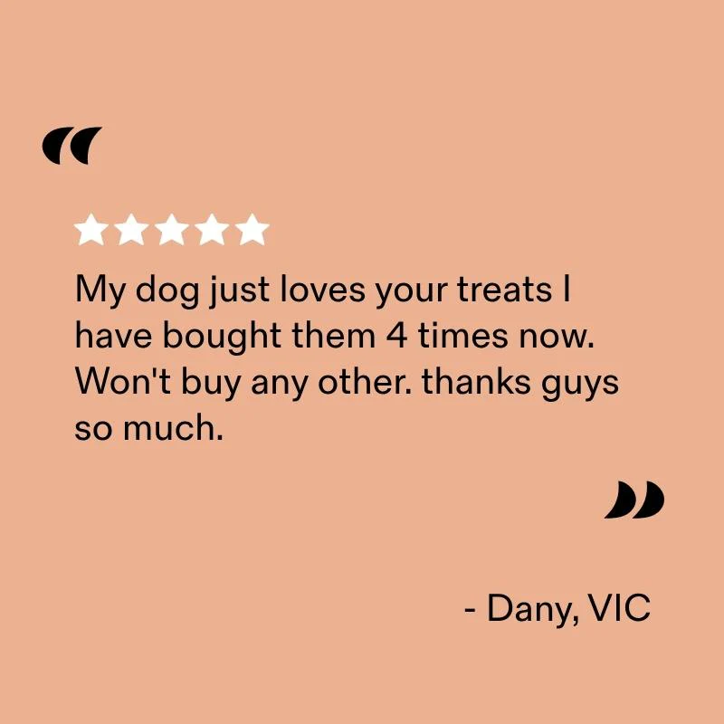 First Time Dog Treats Starter Pack - Image 8