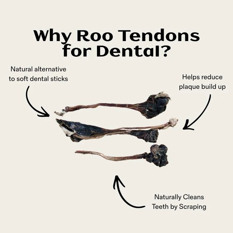 Long Roo Tendons - Image 3