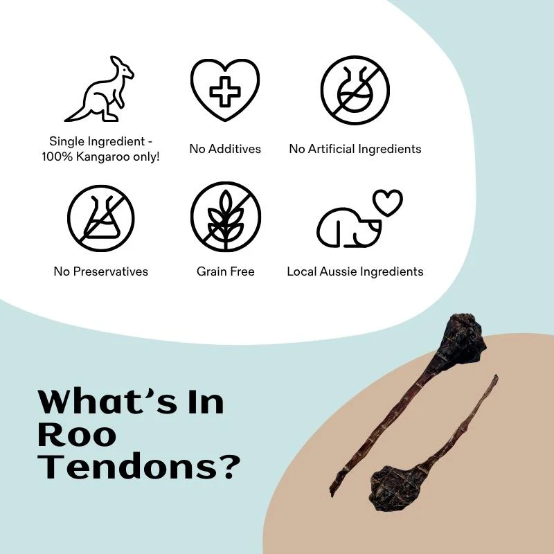 Long Roo Tendons - Image 4