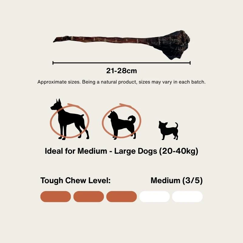 Long Roo Tendons - Image 5