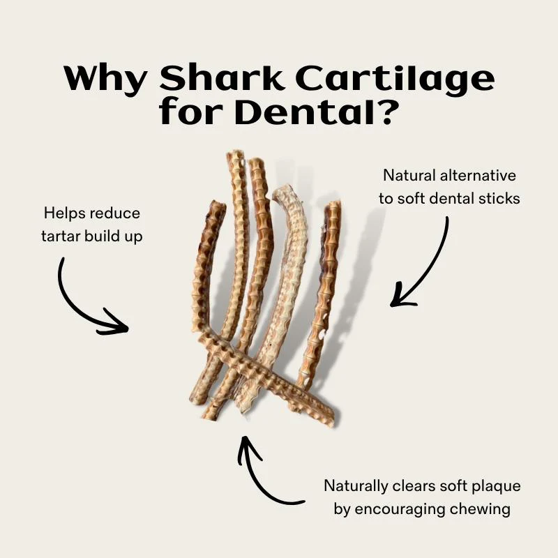 Thin Shark Cartilage Air Dried - Image 3